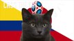 Colombia vs Japan | Group H | 2018 FIFA World Cup Cass the Cat Prediction