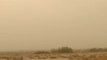 Monsoon Weather Sends Dust Storm Through Maricopa, Arizona