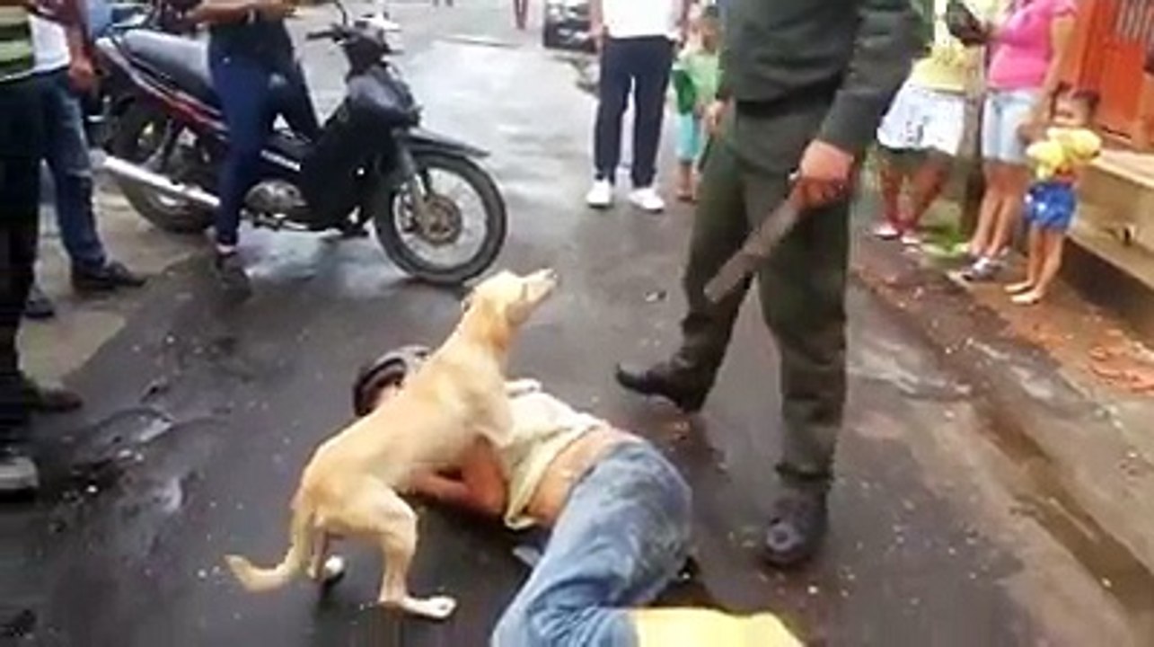 Do you need your daily touching video ?Look at this dog defending his drunk owner.I can’t understand what the people are saying but I salute them for unders