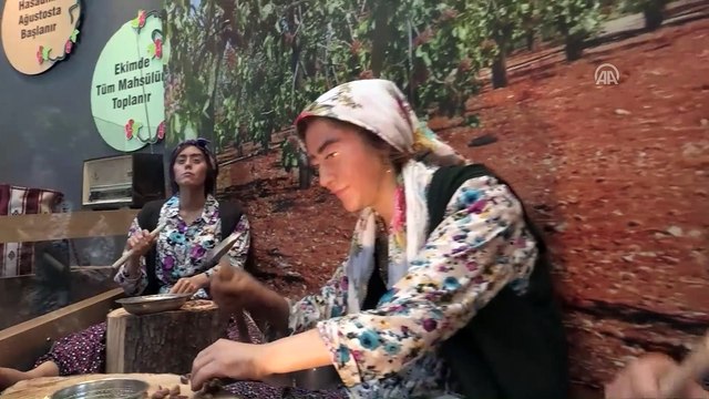 Fıstık diyarına 'Fıstık Müzesi' - GAZİANTEP