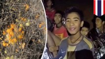 Thai boys rescued from cave may face 