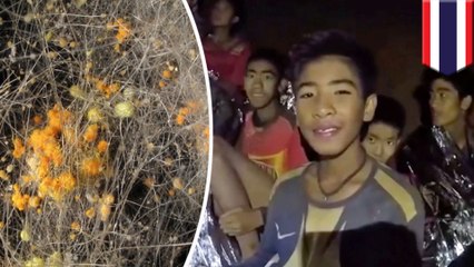Thai boys rescued from cave may face "cave disease"