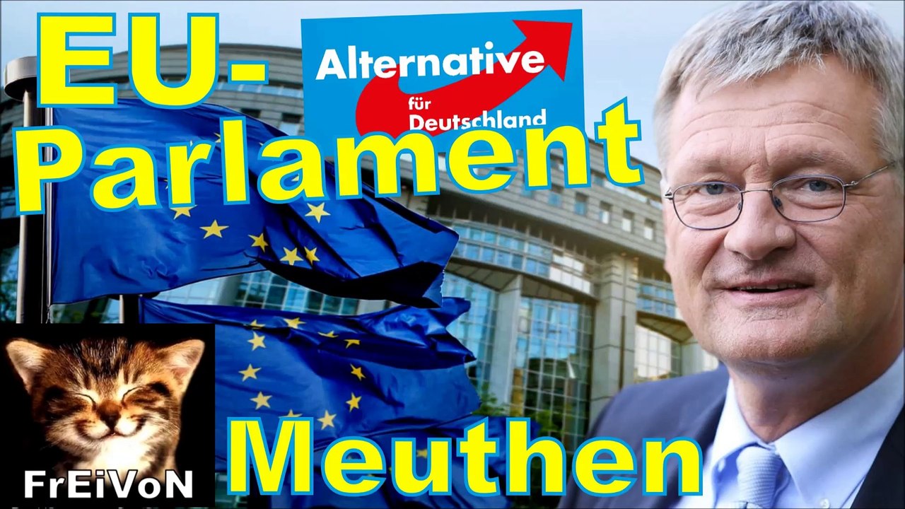 AfD * Prof. Meuthen geht ins EU-Parlament * Seine BEWEGGRÜNDE und INTERVIEW