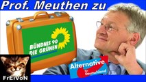 AfD * Prof. J. MEUTHEN wünscht GRÜNEN eine GUTE (Aus-)REISE !! Vizepräsidentin ROTH ade!