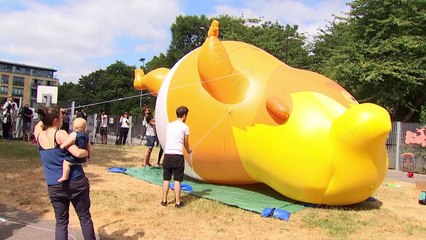 'Trump baby' blimp gets set to fly over London