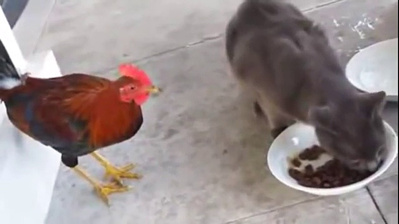 funny......