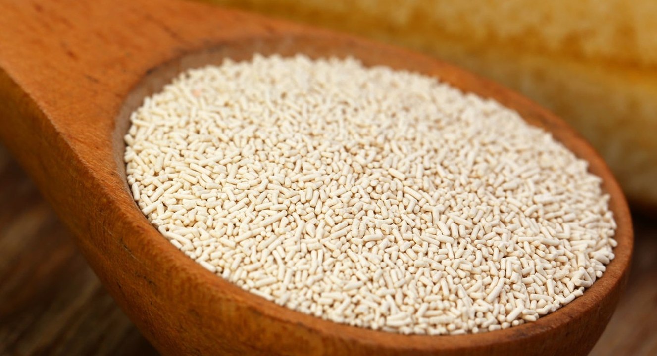 فوائد شرب الخميرة