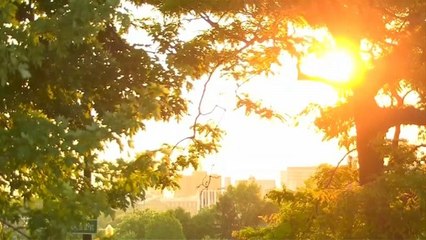 Québec ächzt unter Hitzewelle