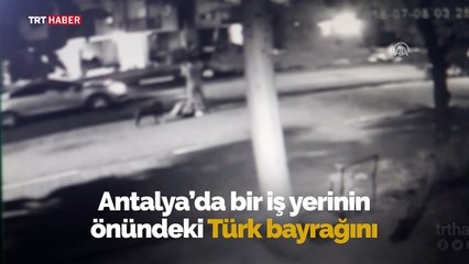 Türk bayrağını direğiyle birlikte çaldılar