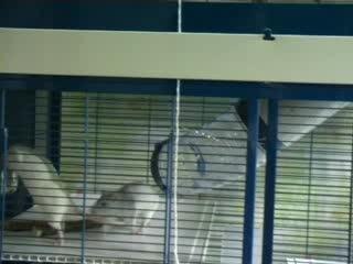 Une vie bien remplie