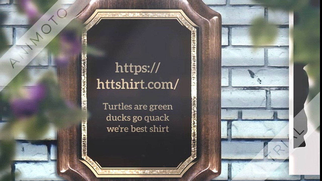 Turtles are green ducks go quack we’re best friends cause our heads shirt