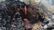 This Video Of Hawaii Lava Oozing Out Is Weirdly Mesmerizing