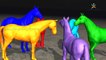 Horse Learn colors with 3d Animals colors lesson for Nursery Children colors Song