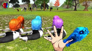 Lion Finger Family song for Childrens ll 3DAnimation & Most popular nursery Rhymes for toddlers