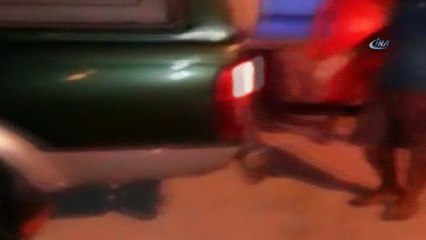 Bodrum’da 1’i ölü 1’i yaralı 2 caretta caretta bulundu