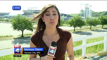 Man Charged With Groping Co-Workers at Kansas City Stadium