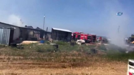 Karacabey'de Çıkan Yangında Hayvanlar Telef Oldu