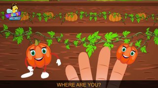 Pumpkin finger family Nursery Rhyme with Lyrics | Vegetable Finger family | Finger Family Rhymes