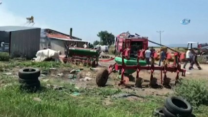 Karacabey’de çıkan yangında hayvanlar telef oldu