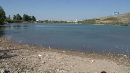 Avlamak İstedikleri Balıkları Karada Buldular