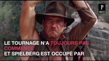 La sortie d'Indiana Jones 5 est bien repoussée en juillet 2021
