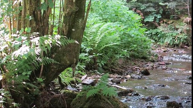 Cascade de la Crache à Raon-sur-Plaine (Vosges)