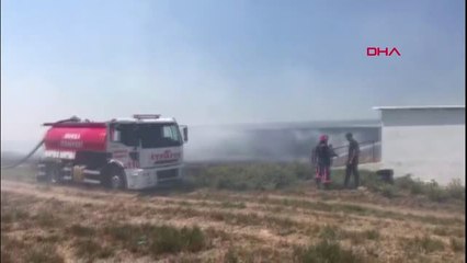 Bursa Bir Kıvılcım Çiftliği Yaktı, Çok Sayıda Hayvan Telef Oldu