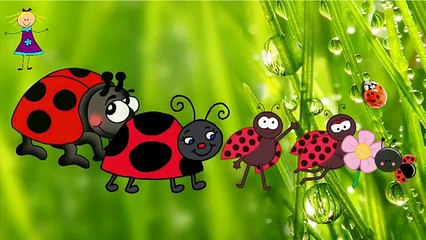 Finger Family LADYBUG Nursery Rhymes | Children Nursery Rhymes 2D Animation