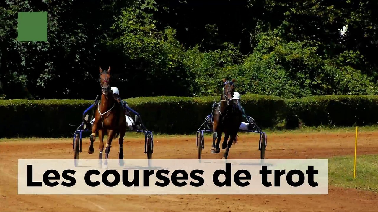 Les courses de trot
