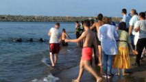 Denize giren 4 kişi boğulma tehlikesi geçirdi