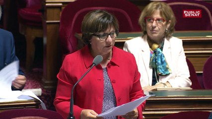 Corinne Féret, sénatrice PS, dénonce une « dérégulation du droit travail de l’apprentissage"
