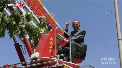 Serçe yavrusunu kurtarmak için seferber oldular