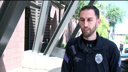 Kitten with Rabies Bites Woman at Colorado Park