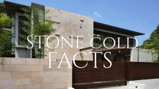 STONE Cladding FACTS. You MUST See WALL Stone SOLUTIONS