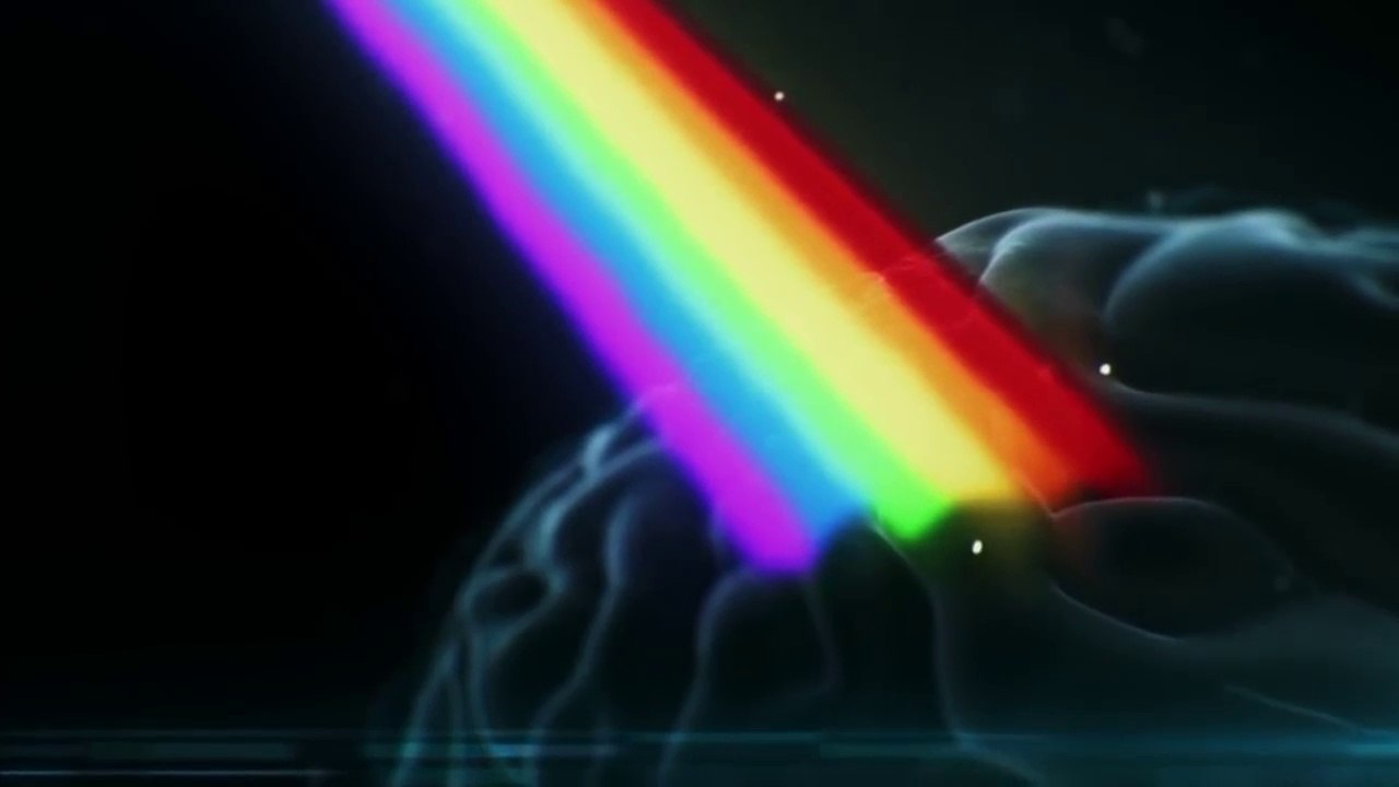 National Geographic Documentary - Creatures of Light Part 3