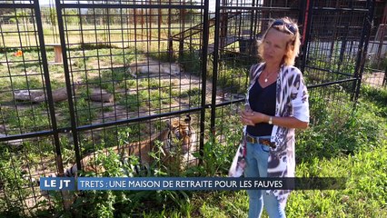 Trets : Une maison de retraite pour les fauves en parc animalier