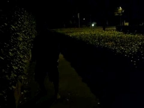 Maxime dans les buissons