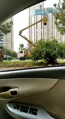 Not a PTI follower but they were actually removing it , just a double check