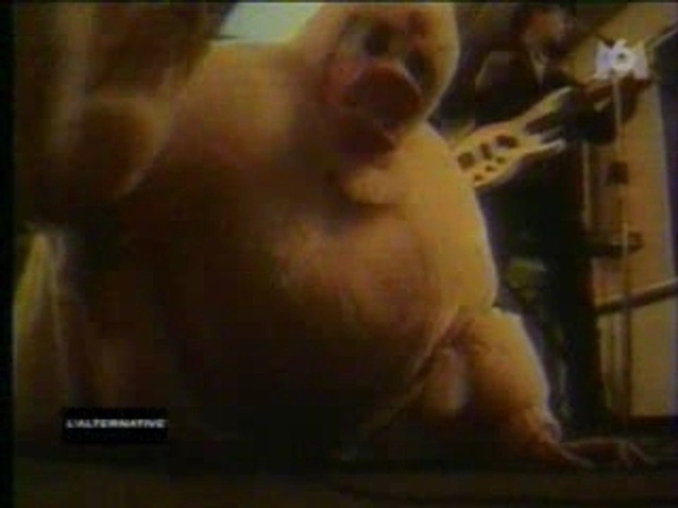 Les Rabbins Volants - Coin Coin