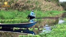Trải Nghiệm Câu Cá Du Lịch Rừng Sinh Thái U Minh