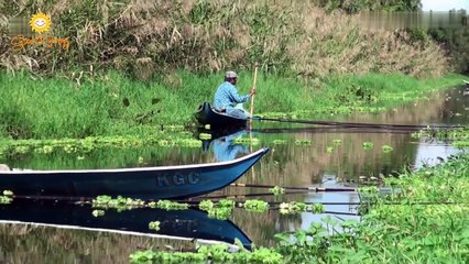Trải Nghiệm Câu Cá Du Lịch Rừng Sinh Thái U Minh