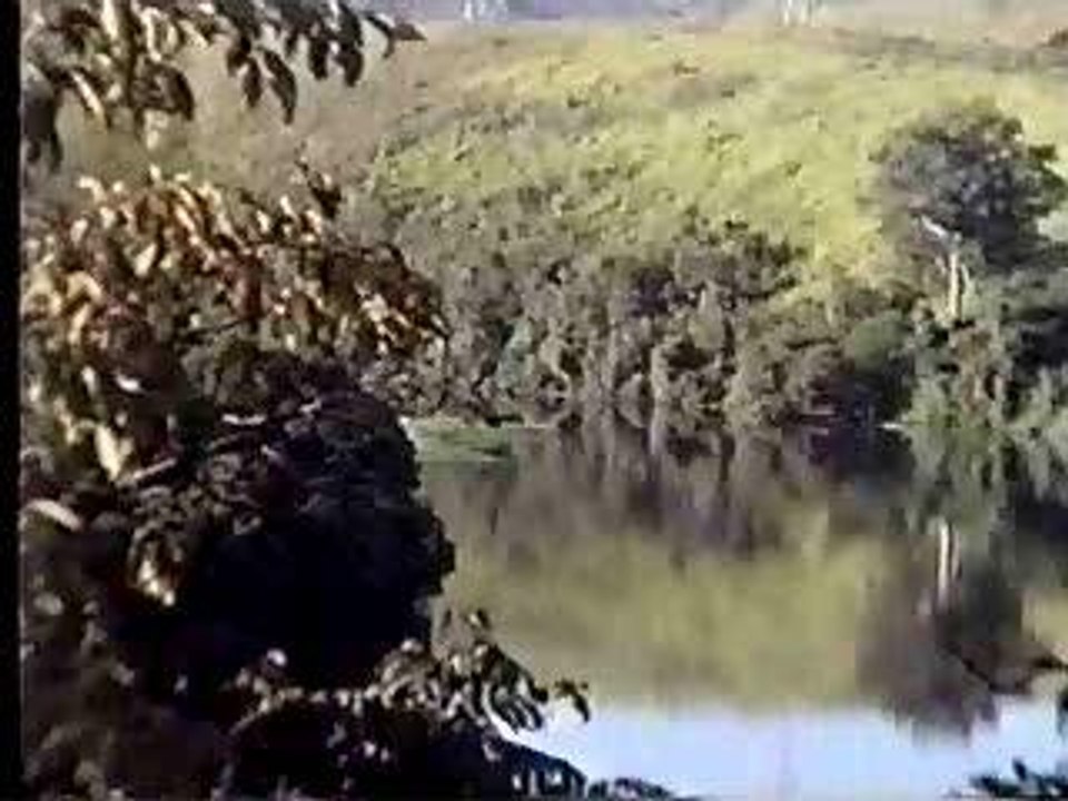 UFO-98-(Brazil - unbeliveable)