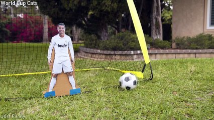 'World Cup Cat' Aaron's Animals NEW VIDEO COMPILATION 2018