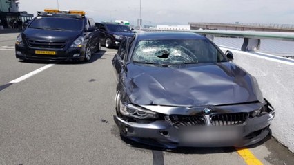 [영상] '김해공항 사고' BMW 운전자는 항공사 직원 / YTN