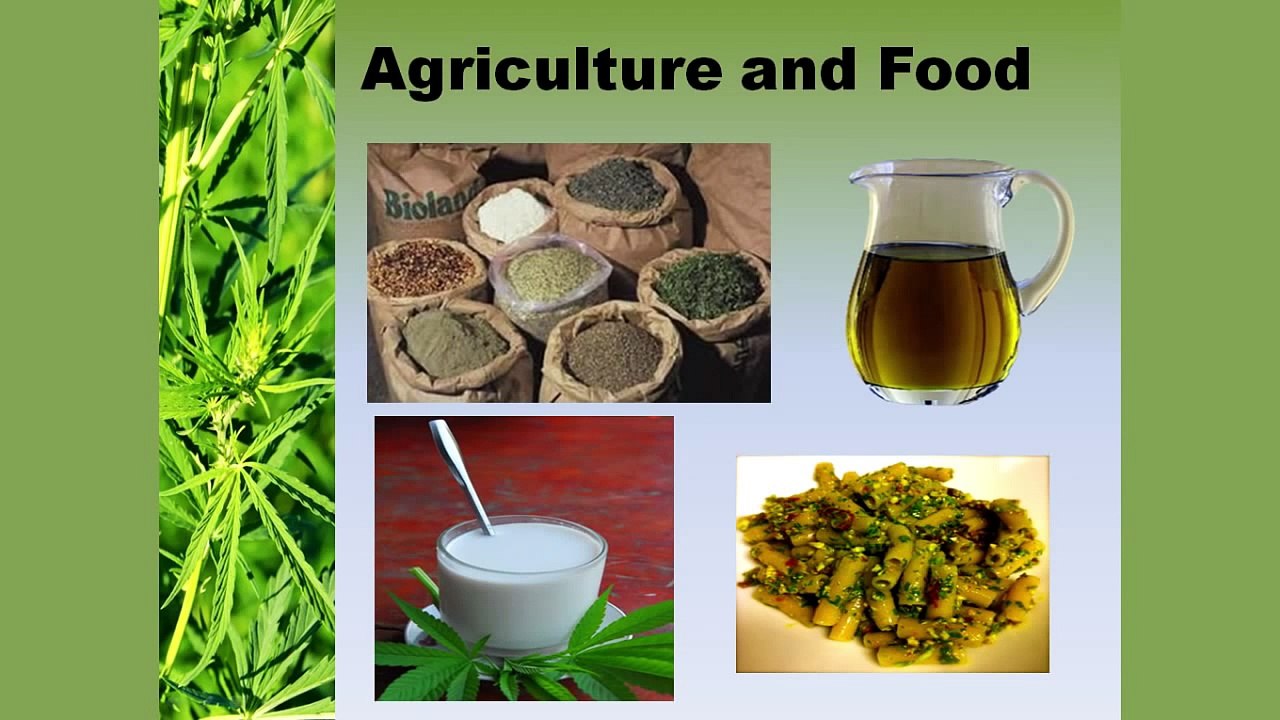 Hemp the trillion dollar crop Gregg Moseley Clarke at TEDxBridgetown