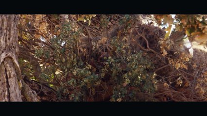 Sinema - Dehşet Yolu - İSTANBUL