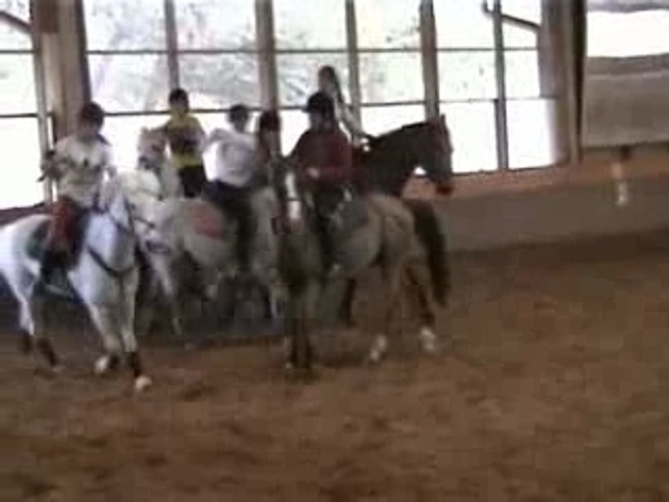 Etoile, horse ball