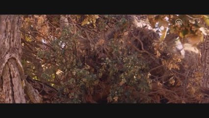 Sinema - Dehşet Yolu