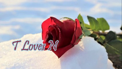 Whatsapp Status letter T and N Love status N and T Khali Khali Dil me, Mehfooz