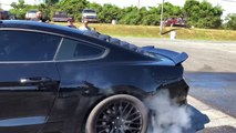 2018 MUSTANG GT beats HELLCAT then Calls out Dodge DEMON!!!